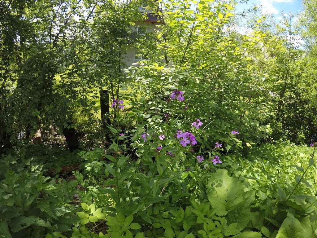 Willa Sunshine Zakopane Chalet 外观 照片