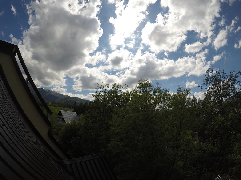 Willa Sunshine Zakopane Chalet 外观 照片