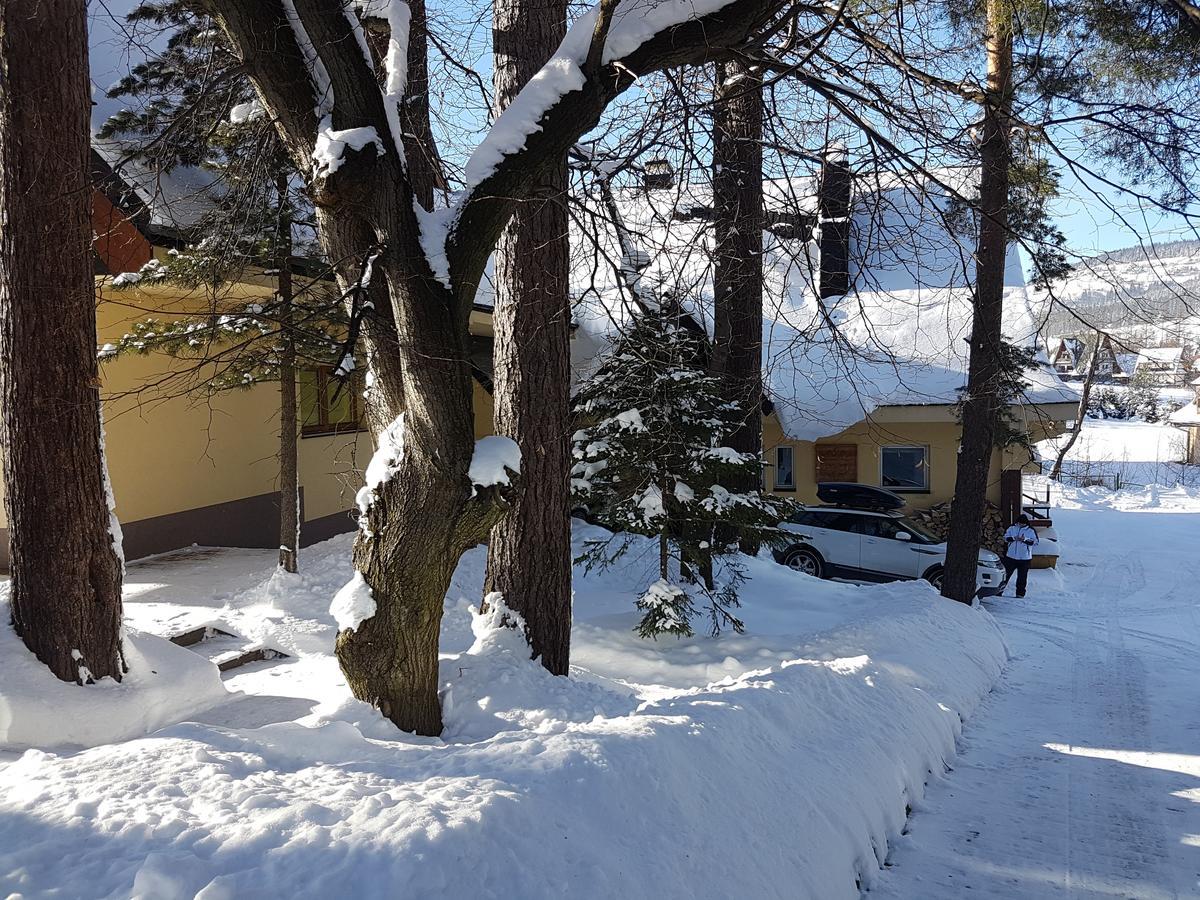 Willa Sunshine Zakopane Chalet 外观 照片