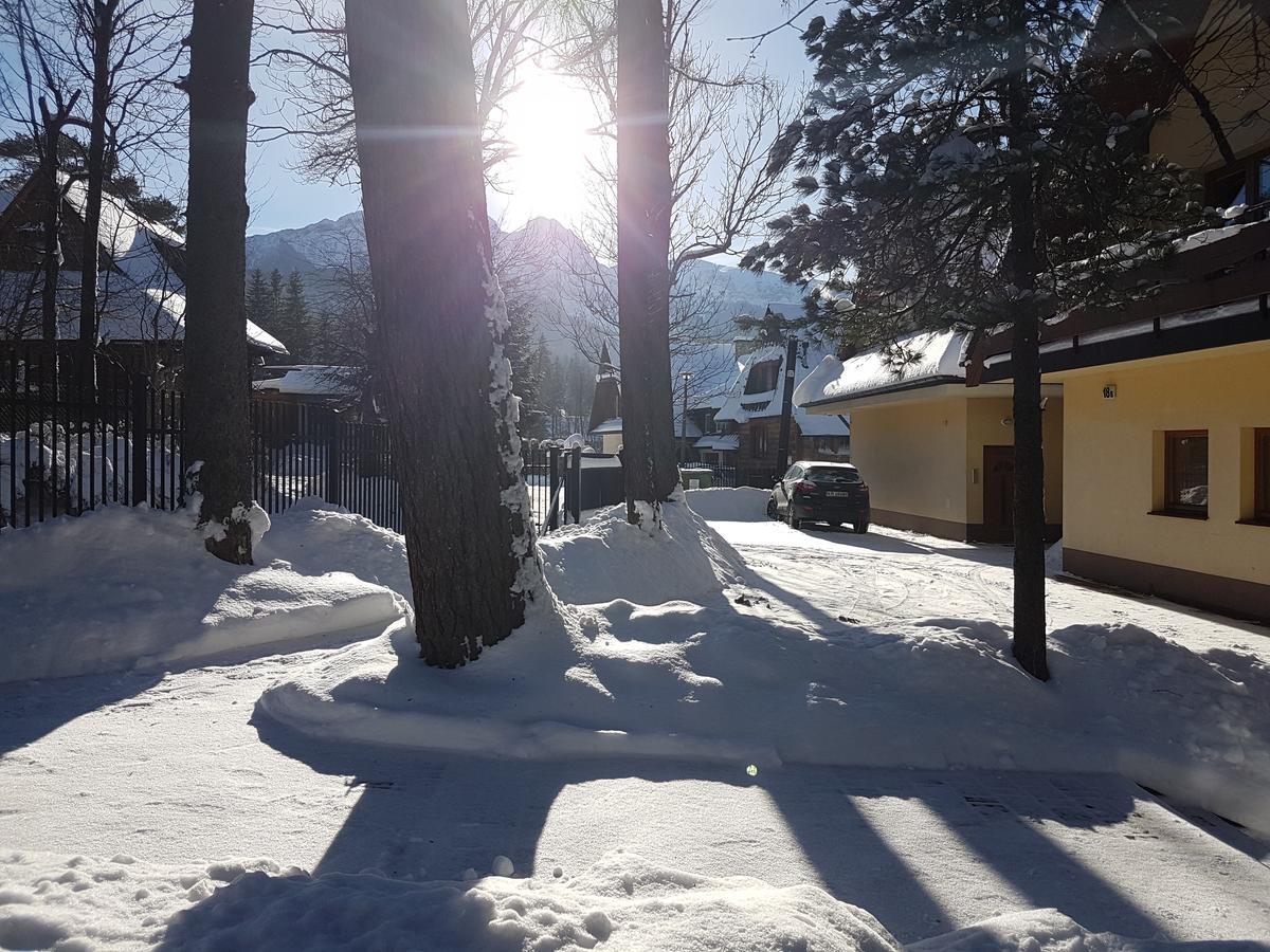 Willa Sunshine Zakopane Chalet 外观 照片