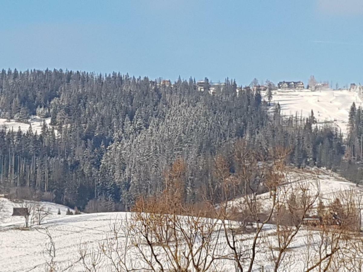 Willa Sunshine Zakopane Chalet 外观 照片
