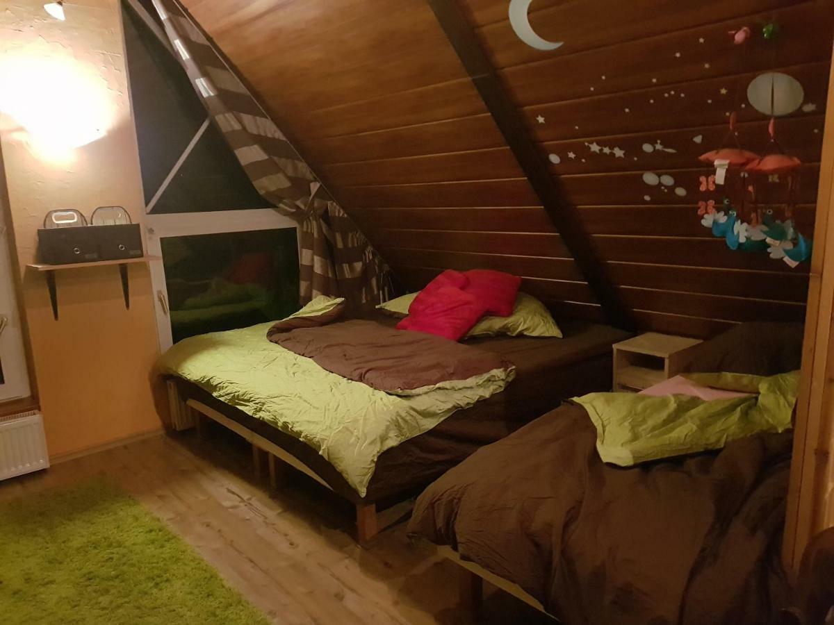 Willa Sunshine Zakopane Chalet 外观 照片