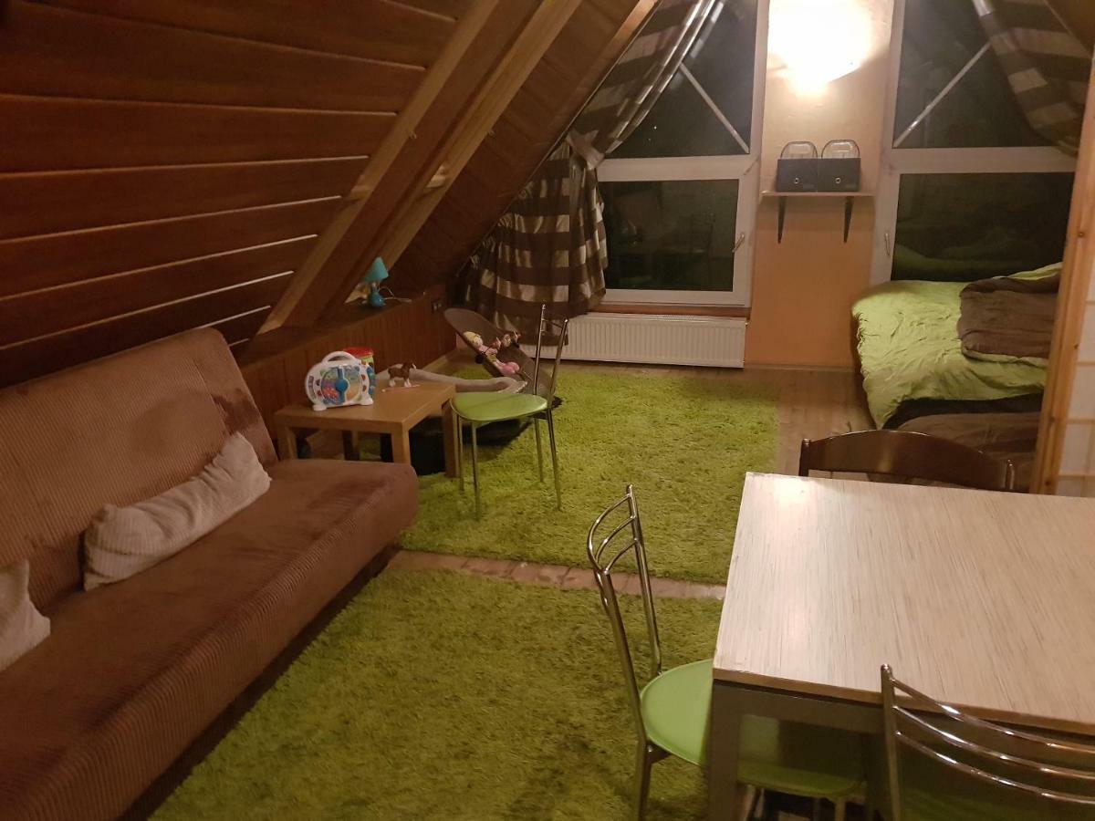 Willa Sunshine Zakopane Chalet 外观 照片
